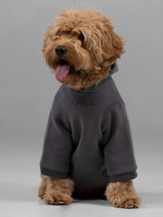 Signature Paw Hoodie -Pre Order
