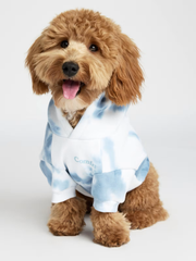 Paws Classics Bundle
