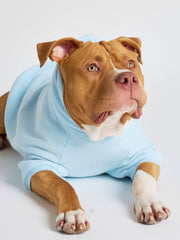 Pastel Paw Hoodie