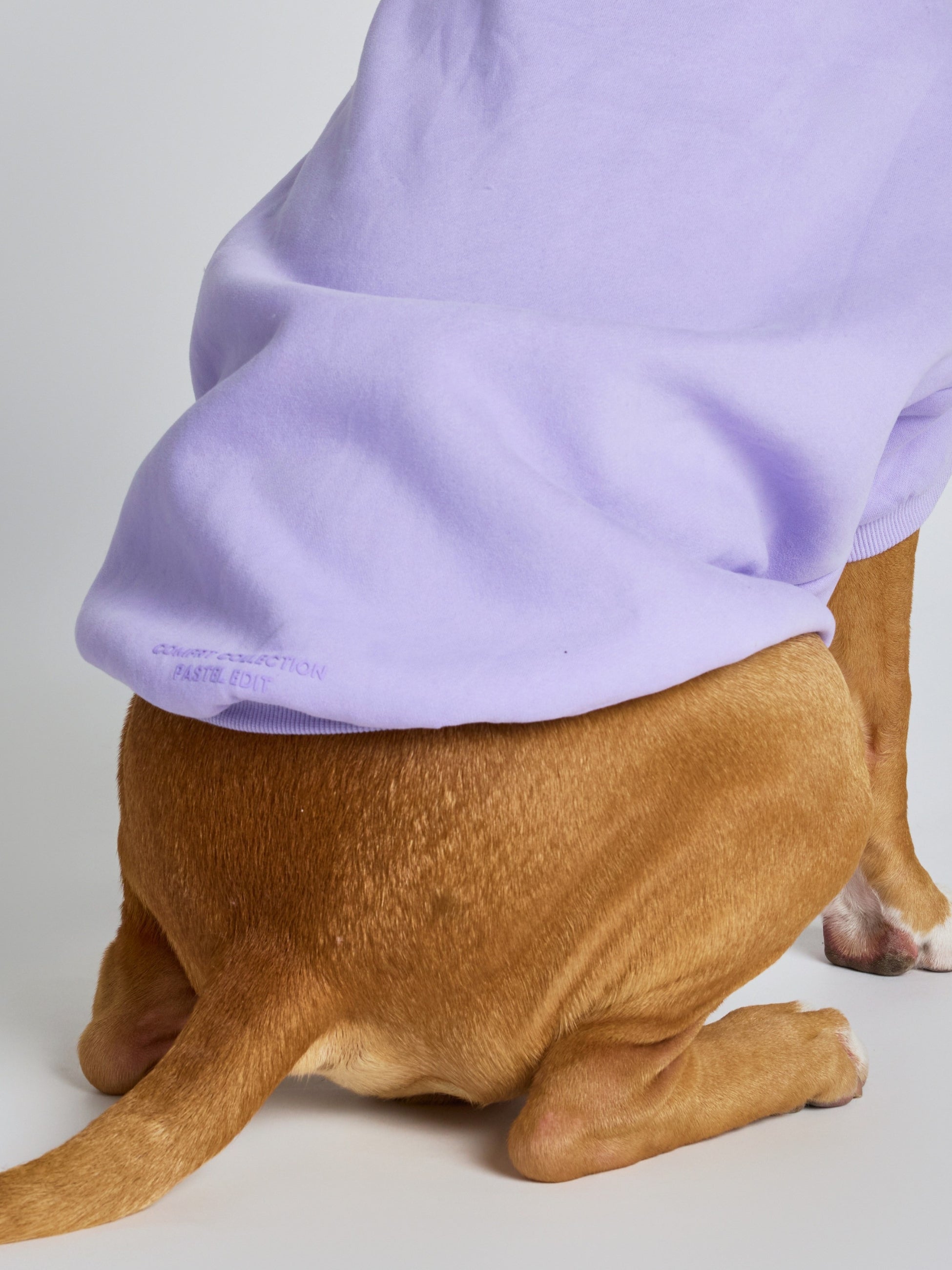 Pastel Paw Hoodie