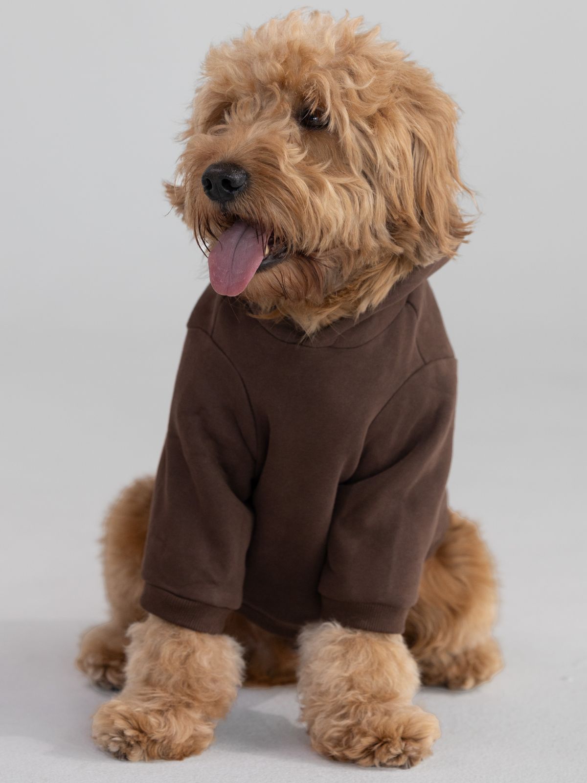 Standard Paw Hoodie - Pre-Order