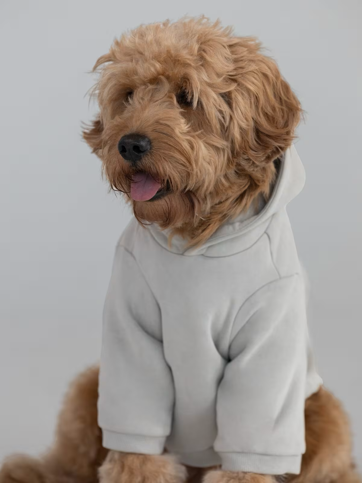Paws Best-Sellers Bundle