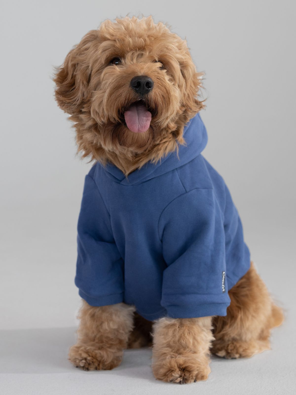 Standard Paw Hoodie - Pre-Order