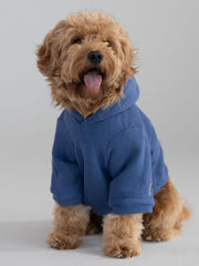 Standard Paw Hoodie
